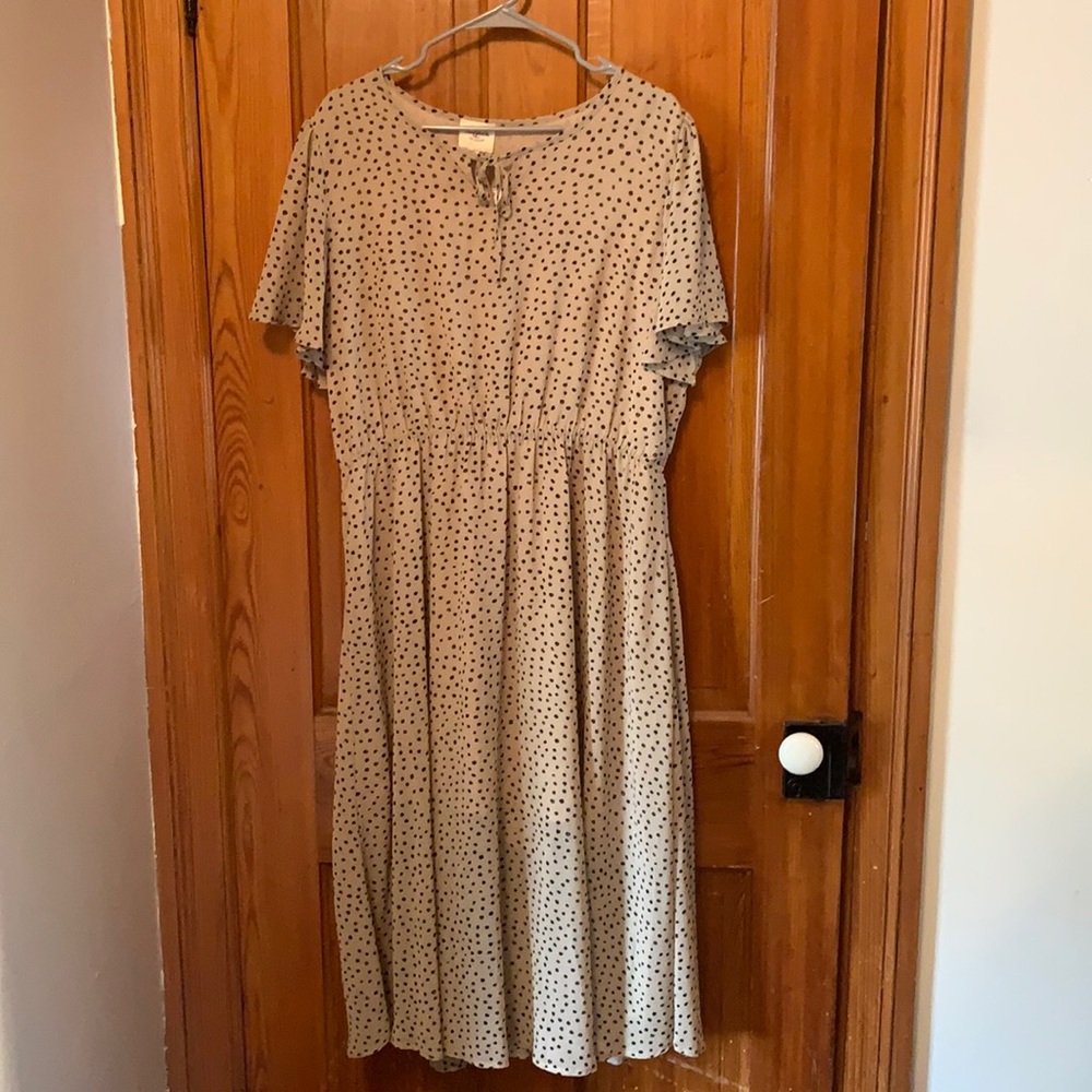 Hayden: midi tan with black polka dot dress